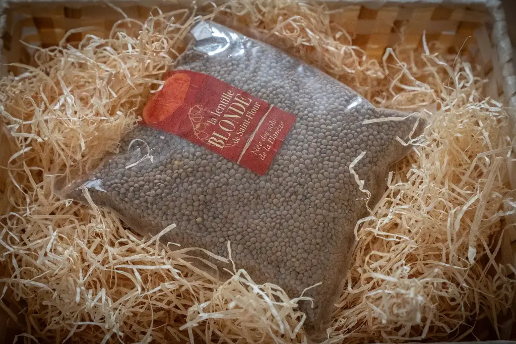 Lentilles blondes, sachet de 10kg